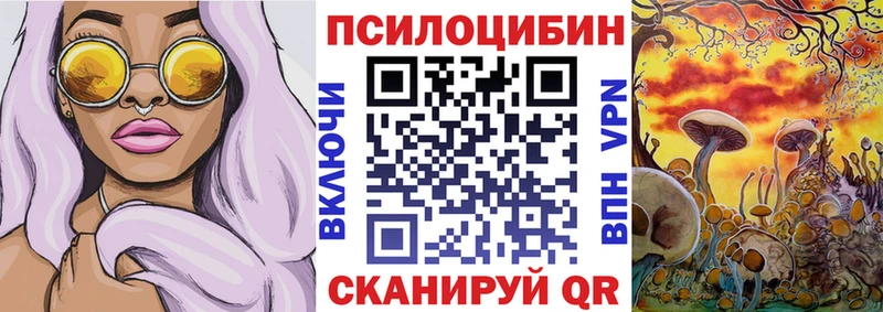 Псилоцибиновые грибы Psilocybe  Купить где  Красновишерск 