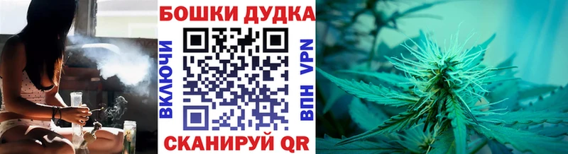 Шишки марихуана Amnesia  Купить закладки  Красновишерск 